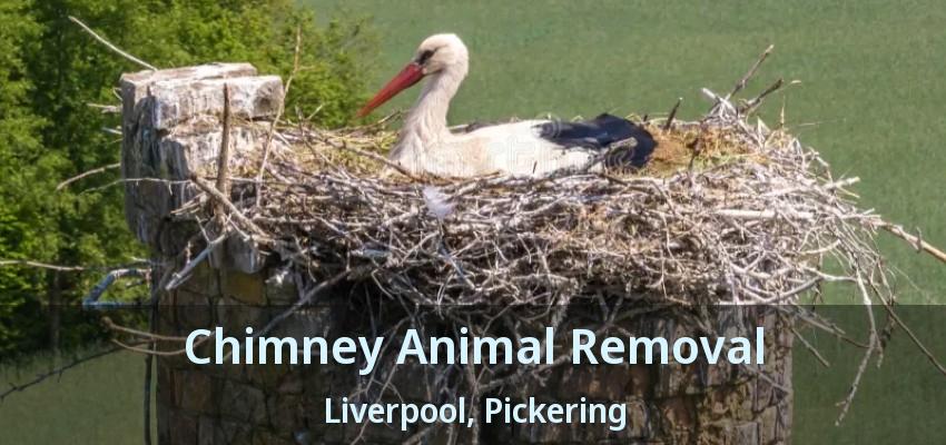 Chimney Animal Removal Liverpool, Pickering - ON