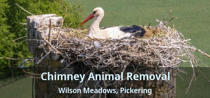 Chimney Animal Removal Wilson Meadows, Pickering - ON
