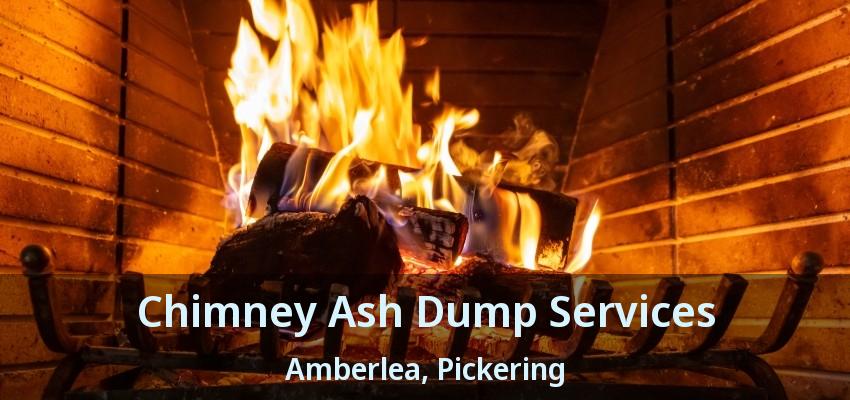Chimney Ash Dump Services Amberlea, Pickering - ON