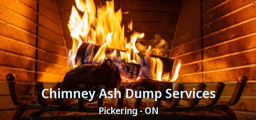 Chimney Ash Dump Services Pickering - ON