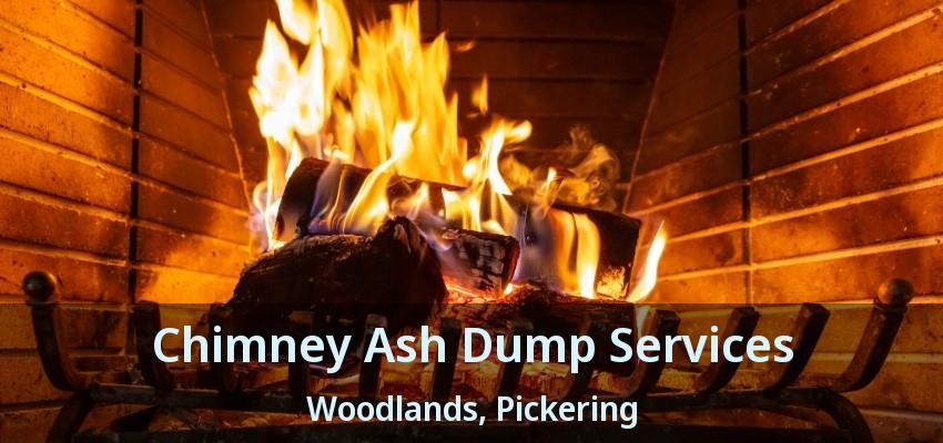 Chimney Ash Dump Services Woodlands, Pickering - ON