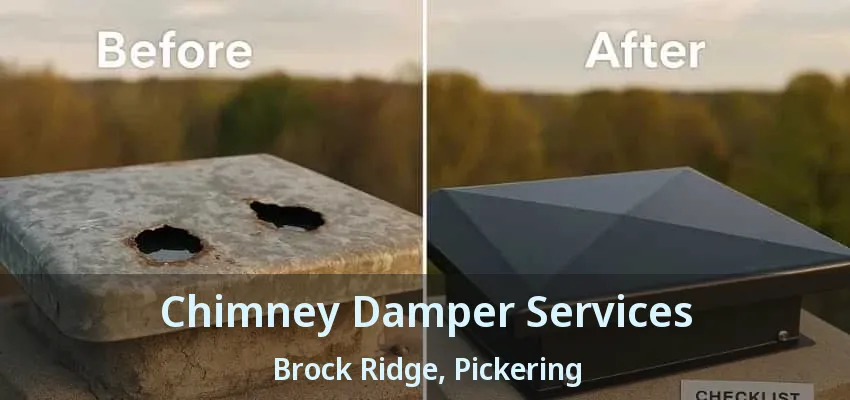 Chimney Damper Services Brock Ridge, Pickering - ON Chimney Damper Services Brock Ridge, Pickering - ON