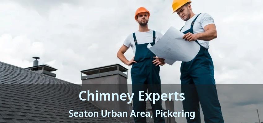 Chimney Experts Seaton Urban Area, Pickering - ON