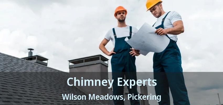 Chimney Experts Wilson Meadows, Pickering - ON