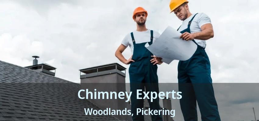 Chimney Experts Woodlands, Pickering - ON