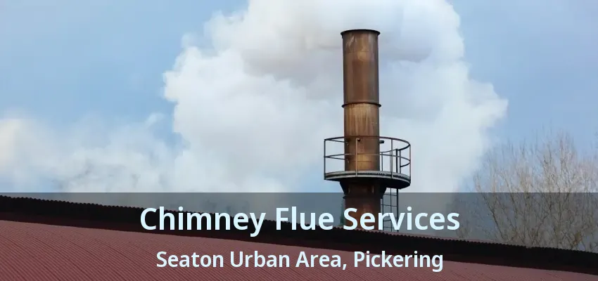 Chimney Flue Services Seaton Urban Area, Pickering - ON