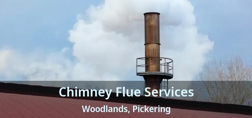 Chimney Flue Services Woodlands, Pickering - ON
