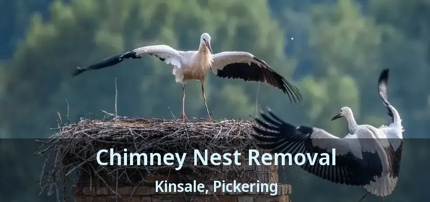 Chimney Nest Removal Kinsale, Pickering - ON