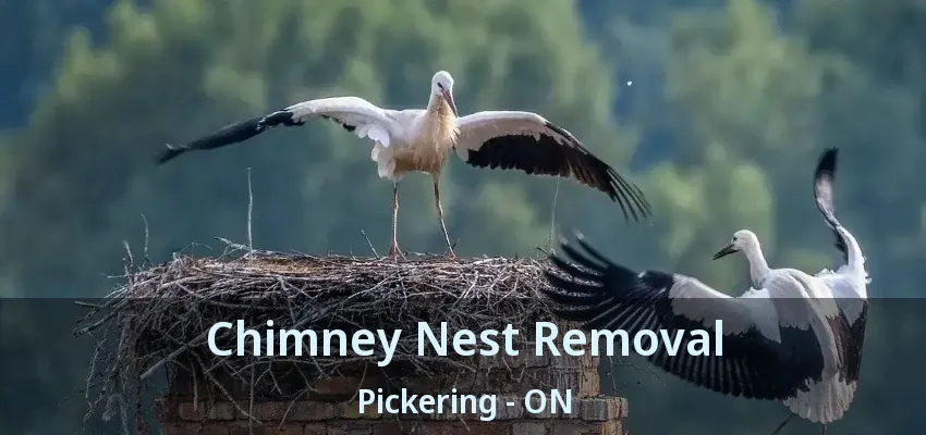 Chimney Nest Removal Pickering - ON