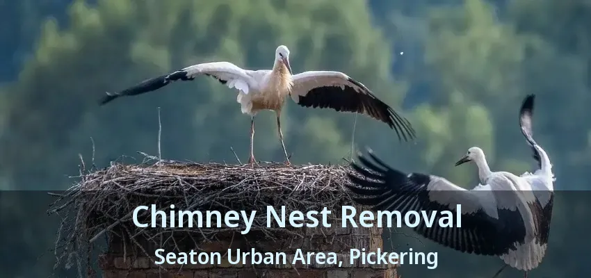 Chimney Nest Removal Seaton Urban Area, Pickering - ON