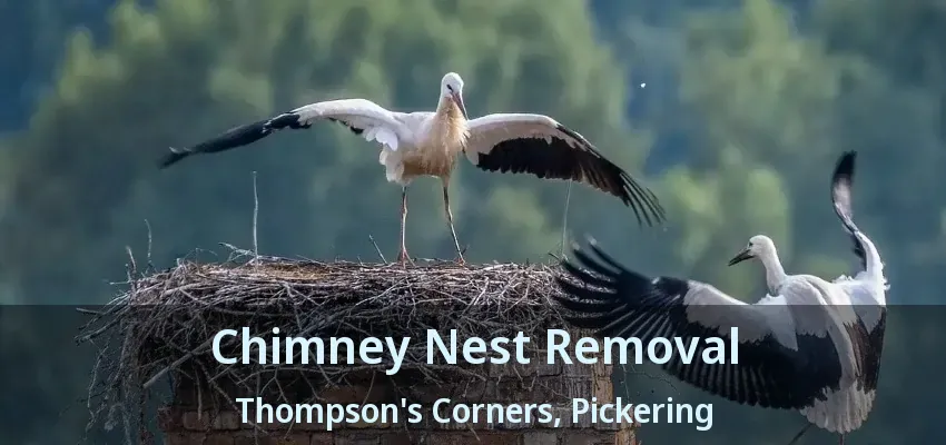 Chimney Nest Removal Thompson's Corners, Pickering - ON