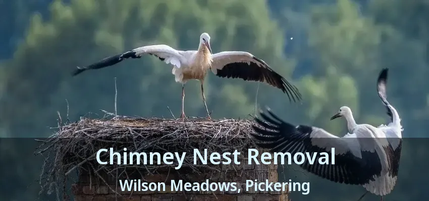 Chimney Nest Removal Wilson Meadows, Pickering - ON
