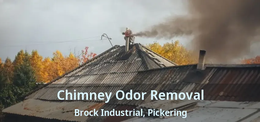 Chimney Odor Removal Brock Industrial, Pickering - ON