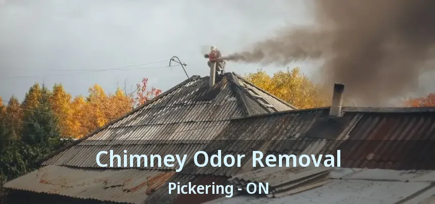 Chimney Odor Removal Pickering - ON