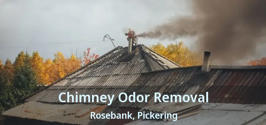 Chimney Odor Removal Rosebank, Pickering - ON