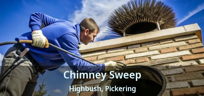 Chimney Sweep Highbush, Pickering - ON