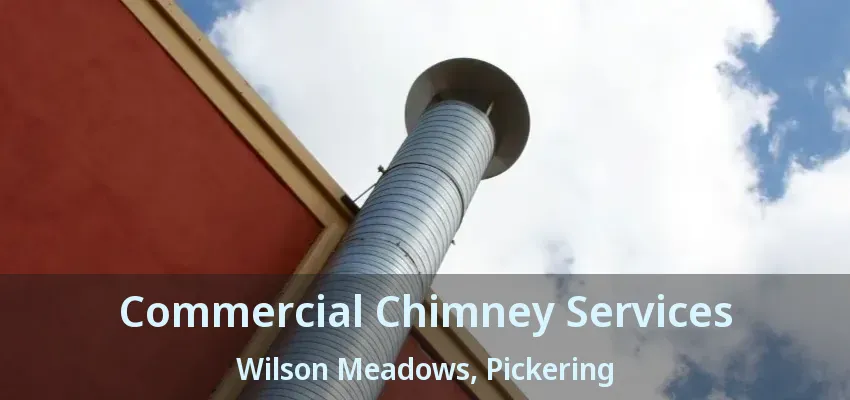 Commercial Chimney Services Wilson Meadows, Pickering - ON