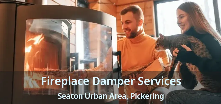 Fireplace Damper Services Seaton Urban Area, Pickering - ON