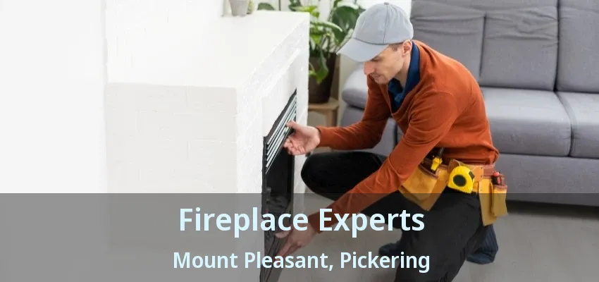 Fireplace Experts Mount Pleasant, Pickering - ON