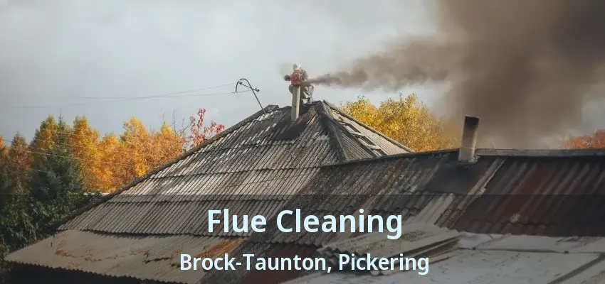 Flue Cleaning Brock-Taunton, Pickering - ON