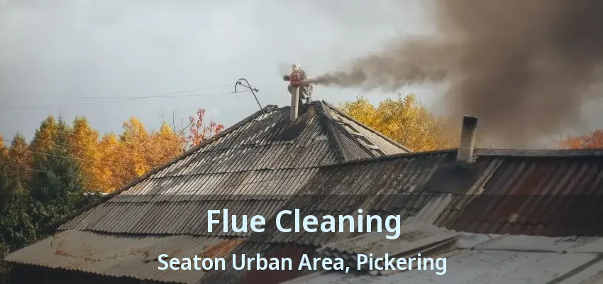 Flue Cleaning Seaton Urban Area, Pickering - ON