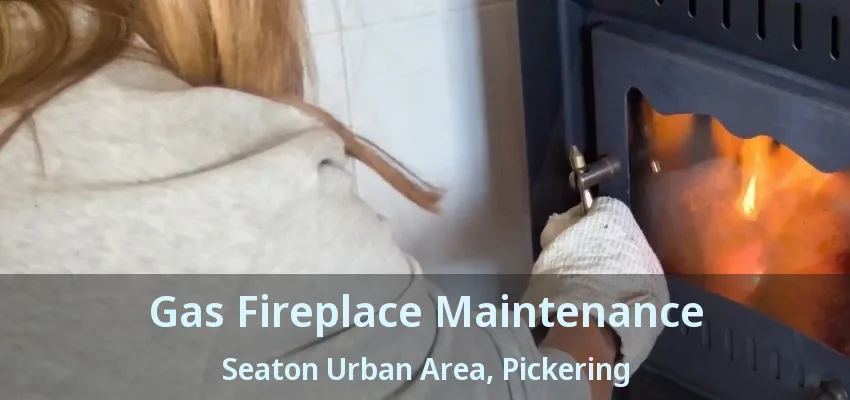 Gas Fireplace Maintenance Seaton Urban Area, Pickering - ON