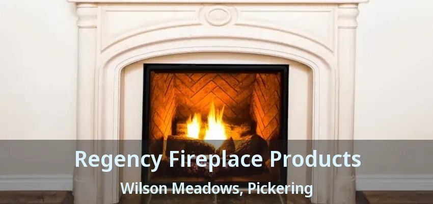Regency Fireplace Products Wilson Meadows, Pickering - ON