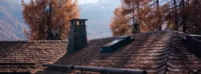 Chimney Animal Removal Wilson Meadows, Pickering
